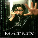 STOP! Don’t Follow the White Rabbit or Be a Headless Chicken