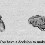 Your Heart is Smarter than Your Brain Thinks